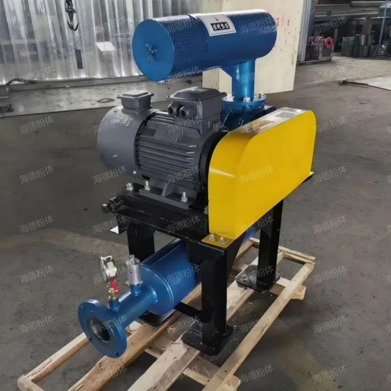 Roots vacuum pump for vacuum packaging