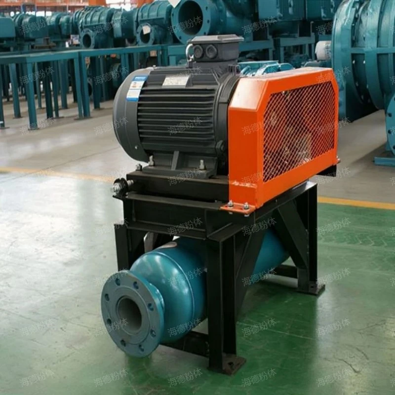 Roots vacuum pump for vacuum packaging
