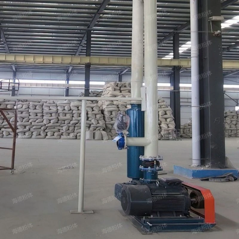 Roots vacuum pump for vacuum packaging