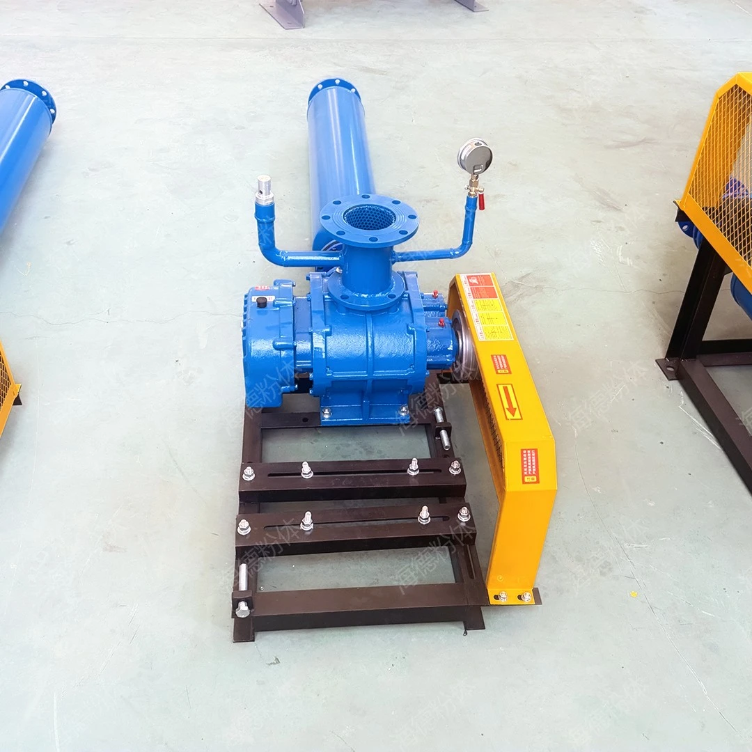 Introduction to HDSR300V roots vacuum pump, introduction to the roots vacuum pump function advantages and characteristics