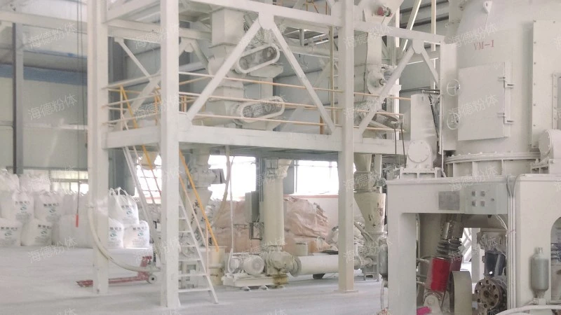 Pneumatic conveying of sheet-like granular materials